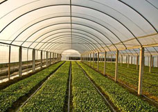 昆仑揭开&ldquo;远程监测农业大棚系统&rdquo;的神秘面纱