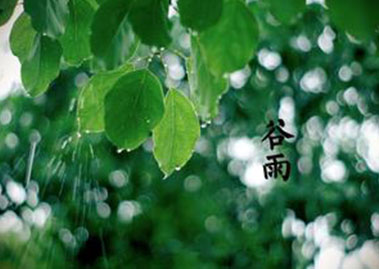 谷雨节气的到来，是否困扰了数显温湿度变送器厂家？