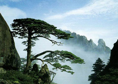 地球日：还敢说五一没地儿去？北京差压变送器厂家为您推荐