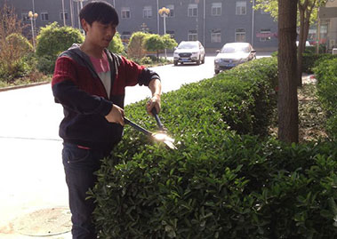 风压力变送器厂家员工看到公司绿植后，竟拿出了剪刀... ...