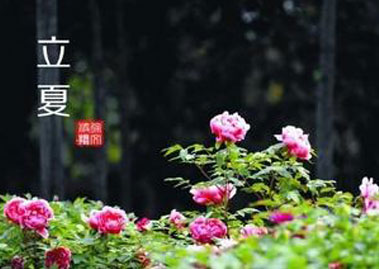 立夏来临，信号隔离器厂家的食堂菜品更丰富啦