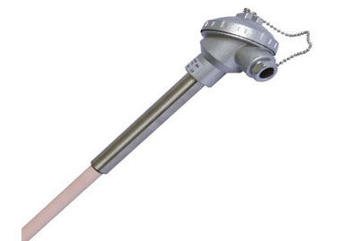 热电偶厂家伙伴们，喜讯来了，成长银行积分可兑现啦！