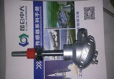 德国PT100A级贺利氏铂电阻密封防水温度传感器