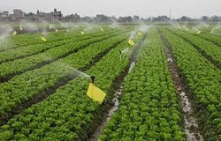 昆仑中大河北果园智能滴灌控制系统助您提产