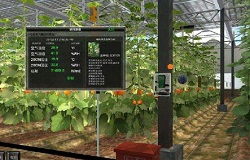 北京智慧农业技术系统搭建厂家昆仑中大