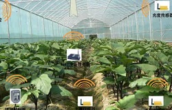 昆仑中大北京农业大棚自动气象站智能利器