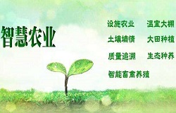 物联网智能控制系统在农业上的应用