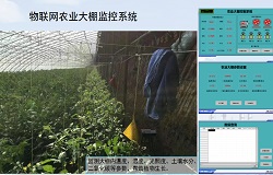 昆仑中大智能温室控制系统助力大棚无人化管理