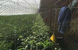 昆仑中大智能农业种植监控系统主要功能介绍